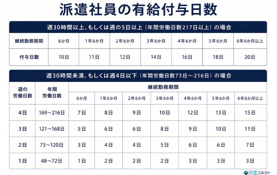 派遣社員の有給付与日数