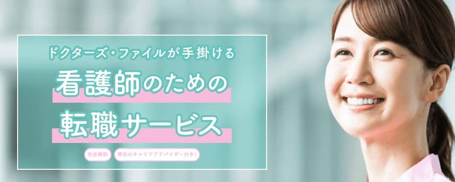 キャリアファイル